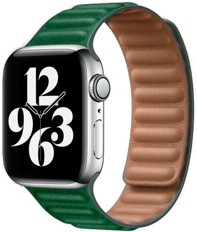 Lippa Magnetisk Skinnreim Mørk Grønn 42/44/45/49mm