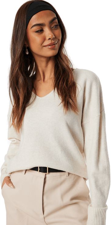 Only Onlrica Life L/S V-Neck Pullover