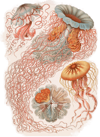 Malerifabrikken Poster Tafel 8 Beige