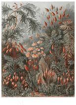 Malerifabrikken Poster Tafel 72 Grønn