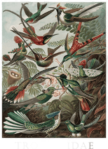 Malerifabrikken Poster Tafel 99 Grønn