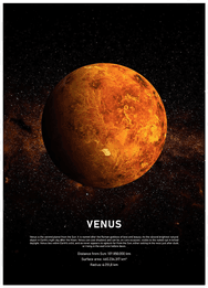 Malerifabrikken Poster Venus Svart