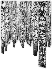 Malerifabrikken Poster White Edition 2