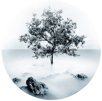 Malerifabrikken Bilde Photo D´Art No 6 Hvit