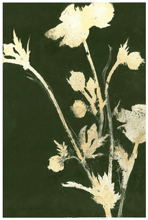 Malerifabrikken Poster Pure Nature 6 Grønn