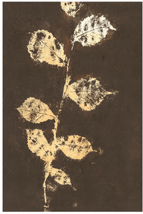 Malerifabrikken Poster Pure Nature 4 Brun