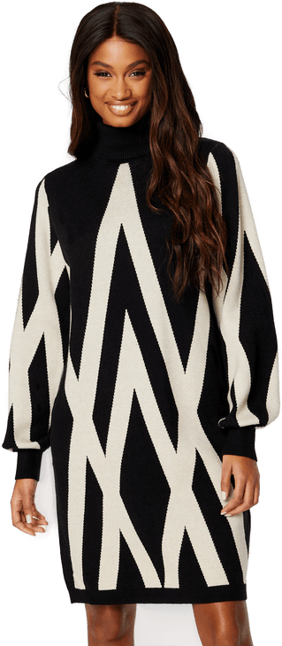 Object Collectors Item Objray L/S Knit Rollneck Dress