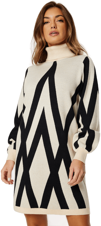 Object Collectors Item Objray L/S Knit Rollneck Dress