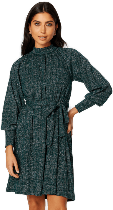 Pieces Dalilah LS Belt Dress