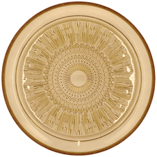 Bitz Kusuntha tallerken Ø 25 cm