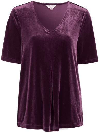 Cellbes Of Sweden Festtopp i fløyel