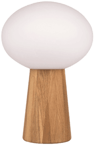 Markslöjd PATER Bordlampe Brun