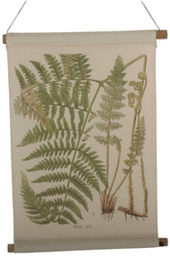 Nordform Vegghengende Ormbunke