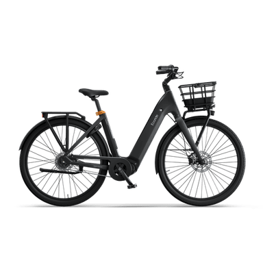 Ecoride Ambassador 4 Midmotor