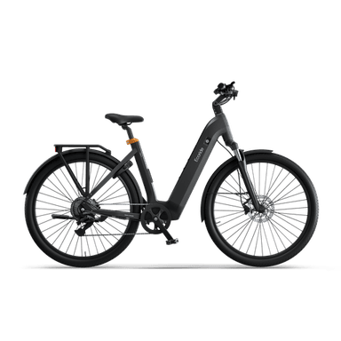 Ecoride Tripper 4-hubmotor low step