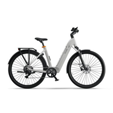 Ecoride Tripper 4 Hubmotor Low-step