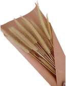 Venture Home Poster Dry flowers 30x40 cm