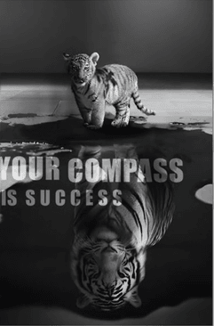 Namly Design Plakat – YOUR COMPASS IS SUCCESS