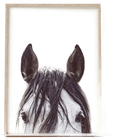 Namly Design Hesteportrett Plakat