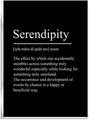 Namly Design Serendipity Plakat