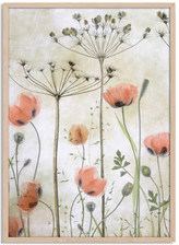 Namly Design Blomstrende Valmuer Plakat