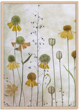 Namly Design Gul Blomst Plakat