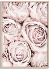 Namly Design Pastellrose Blomsterplakat