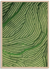 Grønn Flyt Naturplakat Namly Design