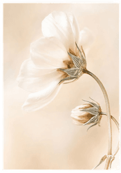 Namly Design Elegant Hvit Blomst