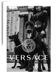 Namly Design Versace Hunder Plakat