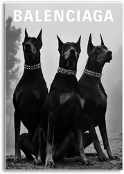 Namly Design Balenciaga Hunder Plakat