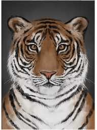 Kunskapstavlan Tiger poster 50x70 cm