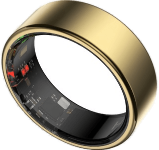 Haale II Smart Ring str. 7 (gull)