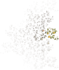 Arvidssons Textil Citrusträdet voksduk