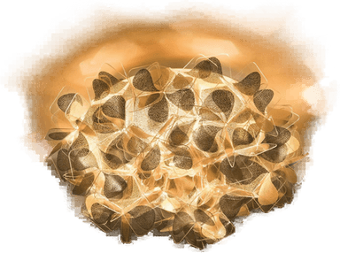 Slamp Clizia Mama Non Mama vegglampe Ø32cm