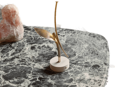 Slamp Tulip oppladbar LED-bordlampe