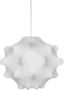 Flos Taraxacum 1 White