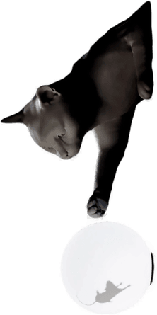 Karman vegglampe Maoo, svart