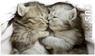 Educa Sweet Cats 500 Puslespill