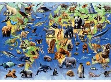 Educa 500 Utrydningstruede Arter