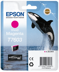 Epson Ink UltraChrome HD T76034 Vivid Magenta