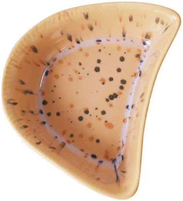 HKliving Shell tapasbolle