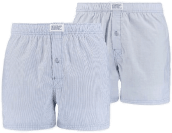 Levis 2P Woven Boxer Lysblå Small