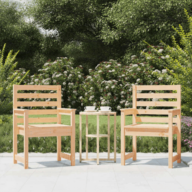 Vidaxl Hagestoler 60x48x91 cm 2 stk