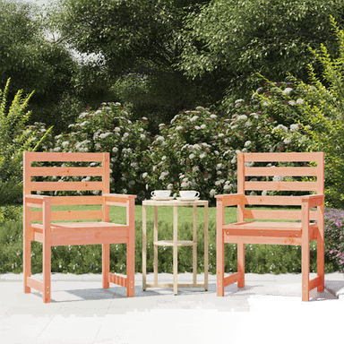 Vidaxl Hagestoler 2 stk 60x48x91 cm