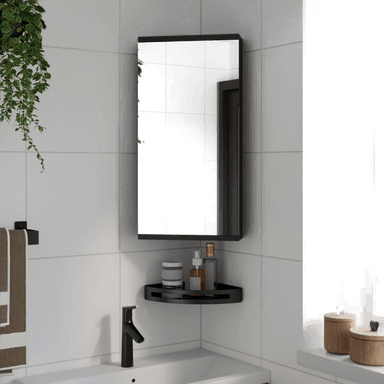 Vidaxl Baderomsspeilskap svart 30x24x60 cm
