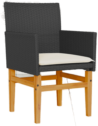 Vidaxl Hagestoler med puter 2 stk svart