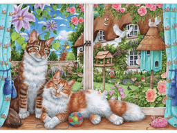 Falcon Lazy Afternoon