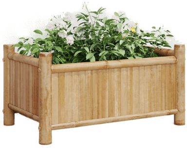 Vidaxl Plantekasse 50x30 cm