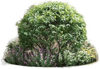 Vidaxl Plantekasse Rustfritt Stål 90 x 90 x 35 cm